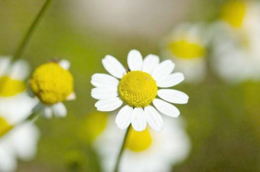 11665558_327594060773887_6072334444406419677_n