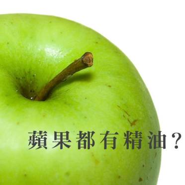 1175456_384390858427540_6637387404076213900_n