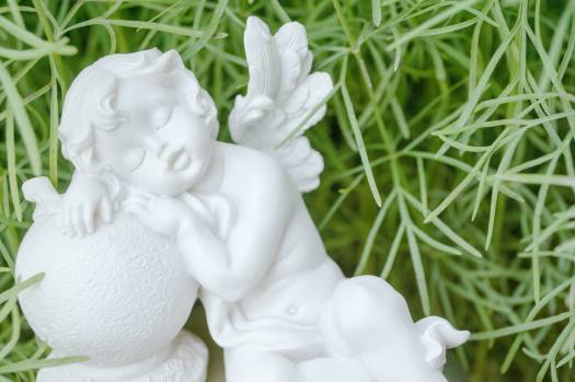 11754907_338075766392383_52635771129018938_o