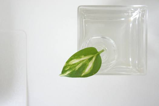 11958050_351380118395281_1962561458726078419_o