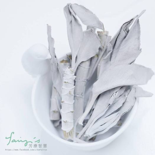 13245452_441959722670653_6323054870701322792_n