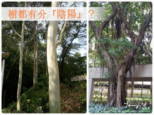 13923665_475075736025718_1037402002525639578_o