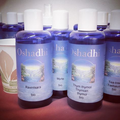 14034840_482935385239753_8324992640377157665_n