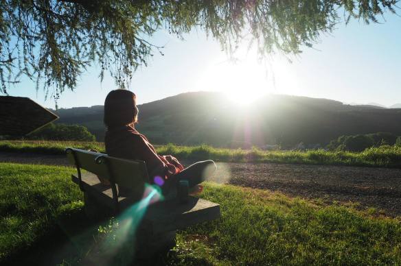 14068349_481957892004169_5534573809450025942_o