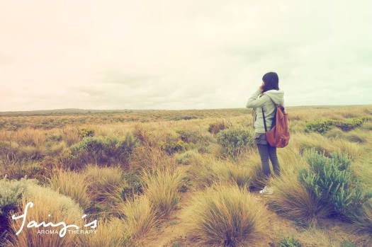 15493235_539107789622512_5926072898189908901_o