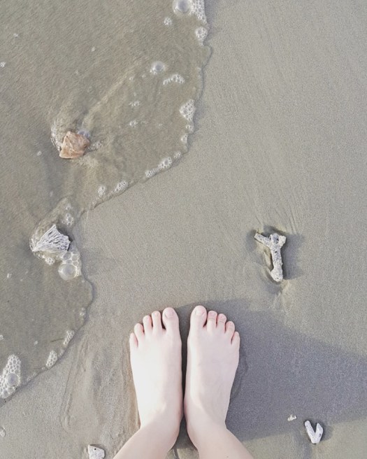 15826704_550576671808957_597993188746945228_n