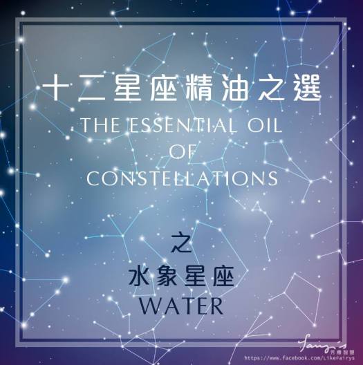 17201094_583304595202831_3674599914659108115_n