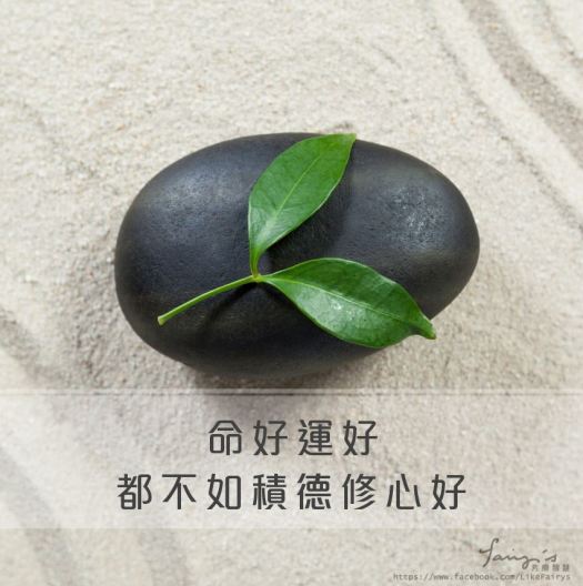 17352485_588472544686036_4716956006154376494_n