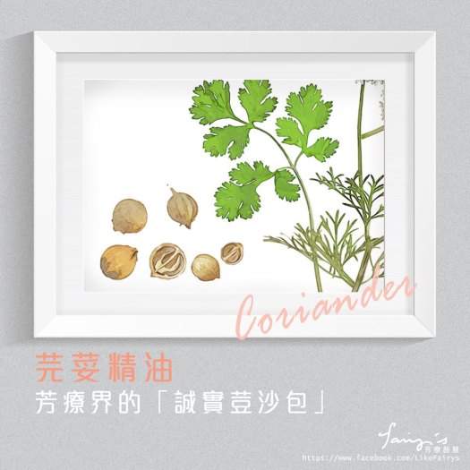 17553520_597085327158091_7710266494837287823_n