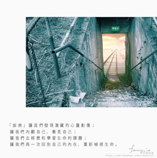 18425489_619360801597210_6464314506769622864_n