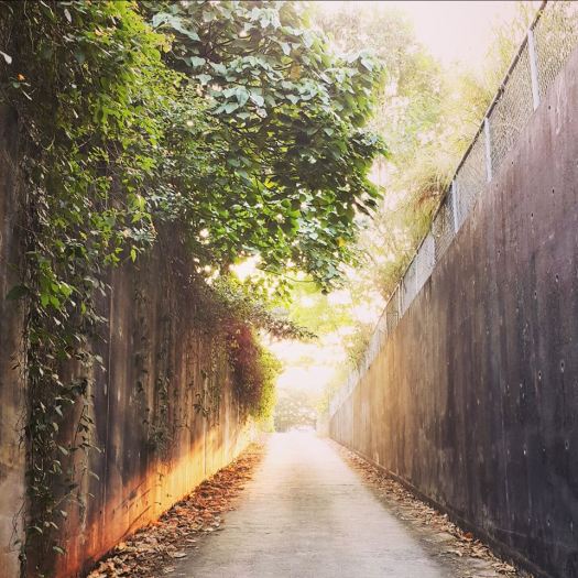 1917833_417069641826328_6326077401272173881_n