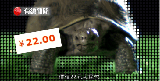 螢幕快照-2017-07-11-22.55.10